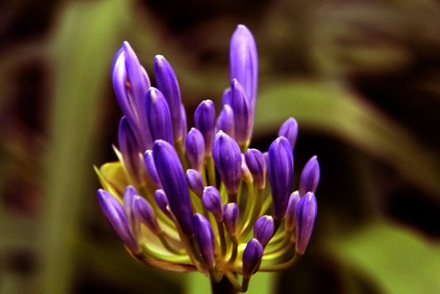 勇士西部第七或是最优解!剩余赛程难度,3大对手均比他们轻松!.