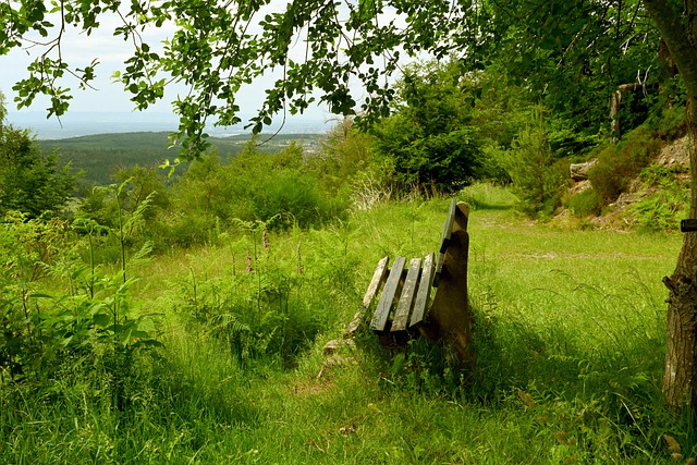 四徑2025｜易健豪人生交叉點挑戰瘋狂山賽　以人體實驗鼓勵同路人.