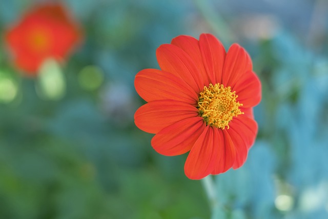 被认为是快 被认为是快