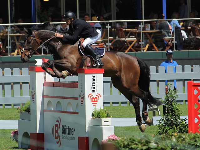 中锋角色 中锋角色