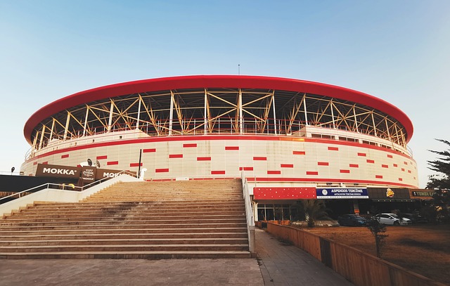 个人表现和 个人表现和