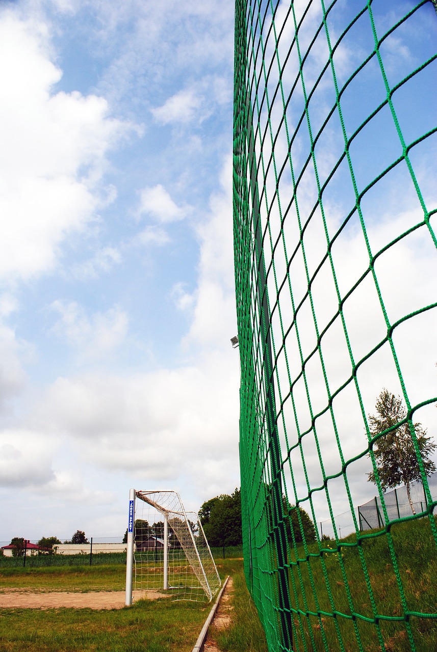 他不仅提升 他不仅提升