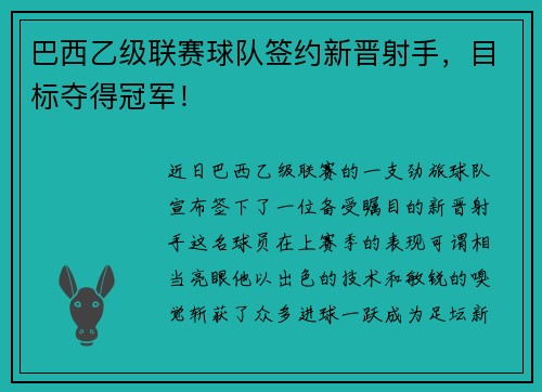 巴西乙级联赛球队签约新晋射手，目标夺得冠军！